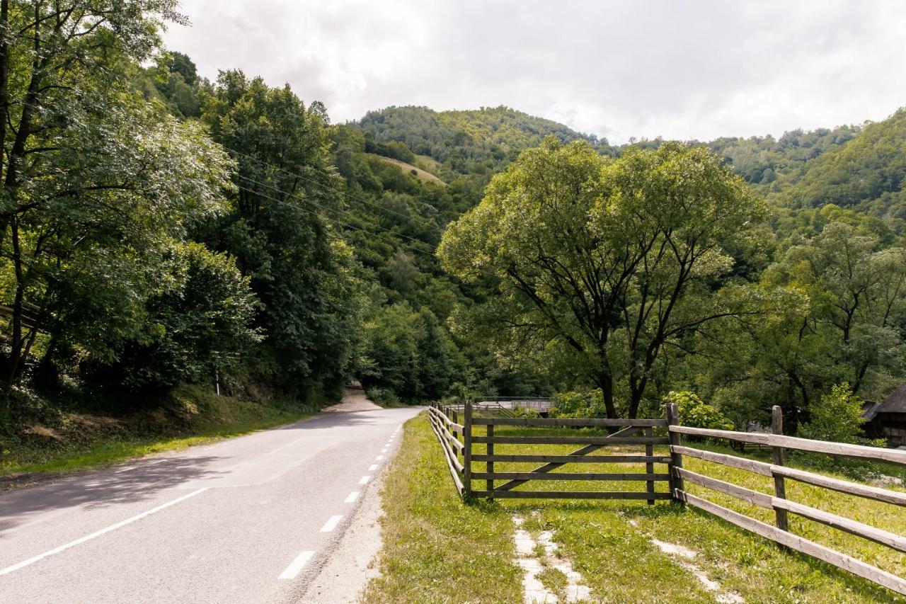 Vila Rodica Transalpina Sugag Exterior photo