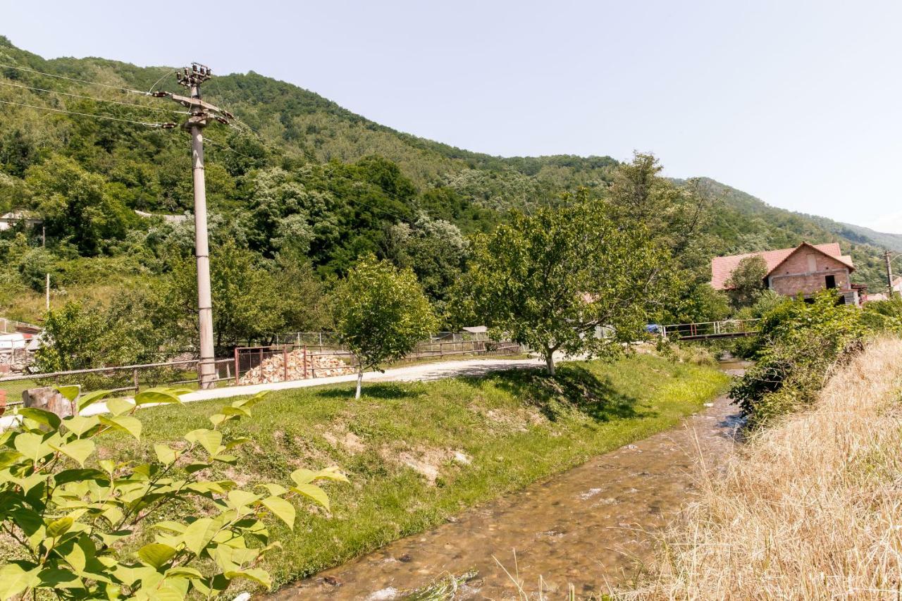 Vila Rodica Transalpina Sugag Exterior photo